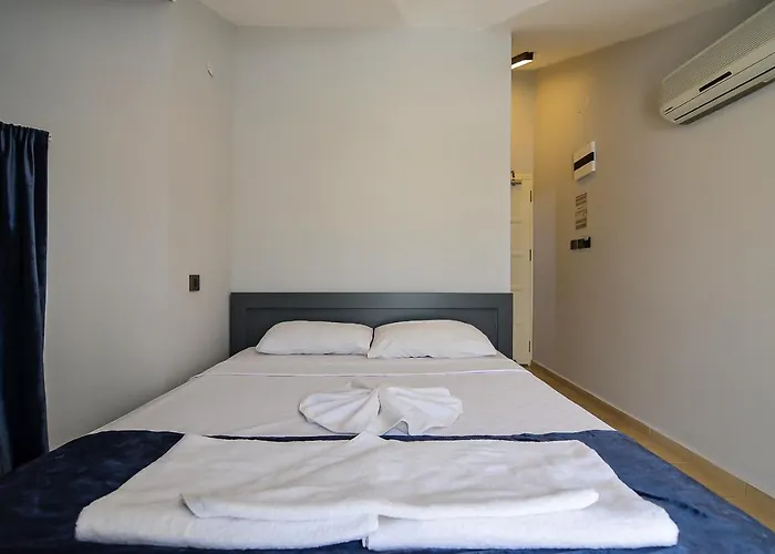 Berry Bella *